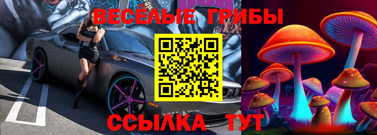 Псилоцибиновые грибы прущие грибы Новоалександровск